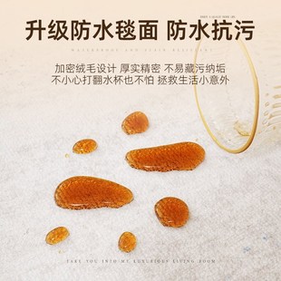 免洗可擦沙发地垫卧室高级感P家用轻奢防水茶几 精选地毯客厅新款
