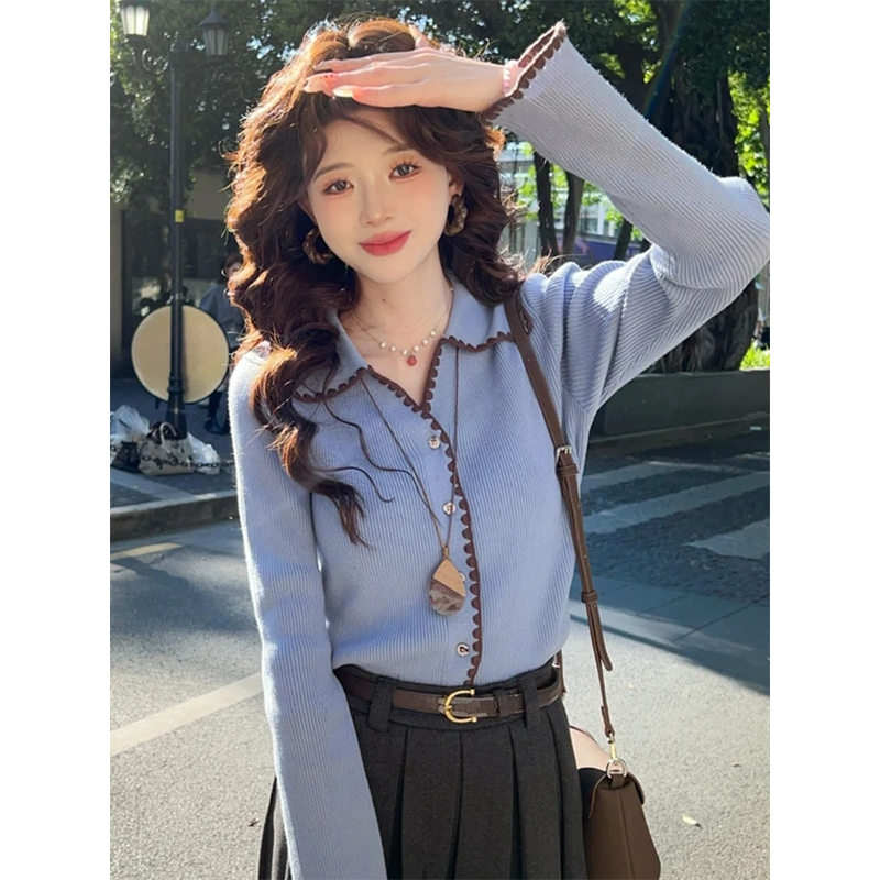 独特漂亮超好看翻领蓝色毛衣女2025新款秋季穿搭内搭打底针织上衣