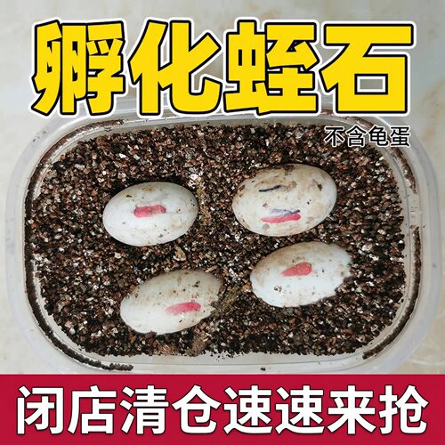 蛭石颗粒土园艺通用透气
