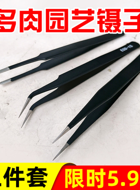 多肉小镊子弯头直头圆头尖嘴不锈钢加厚黑色粉色平扁口宽细头列子