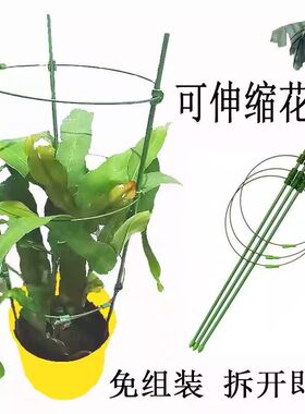 昙花专用支架可伸缩令箭球