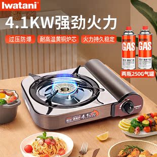 岩谷（Iwatani）卡式炉户外炉具套装便携式卡兹炉烤盘家用猛火灶