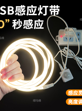 USB接口插电无光斑智能人体感应灯床底夜灯鞋衣柜硅胶柔性LED灯带