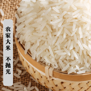 新米湖北京山大米5kg/10斤丝苗米长粒香大米农家不抛光南方籼米