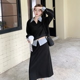 秋季新款休闲显瘦半身裙两件套，女装套装/套裙，慧峰