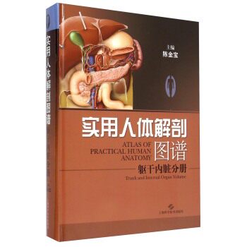 实用人体解剖图谱·躯干内脏分册 陈金宝主编 上海科学技术出版社