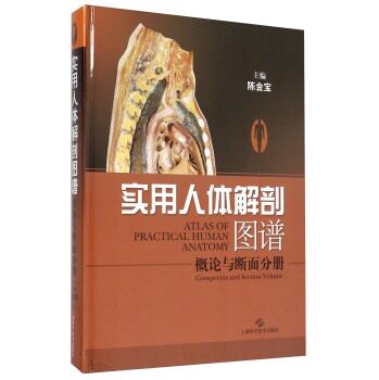 实用人体解剖图谱·概论与断面分册 陈金宝主编 上海科学技术出版社