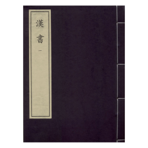 汉书（全四十册）中华再造善本 国家图书馆出版社