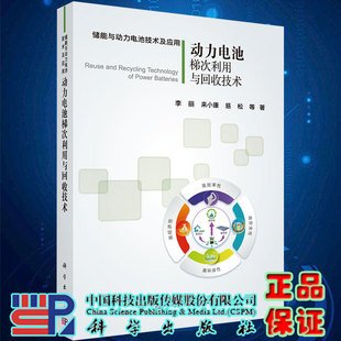 现货动力电池梯次利用与回收技术李丽等著科学出版社9787030591180