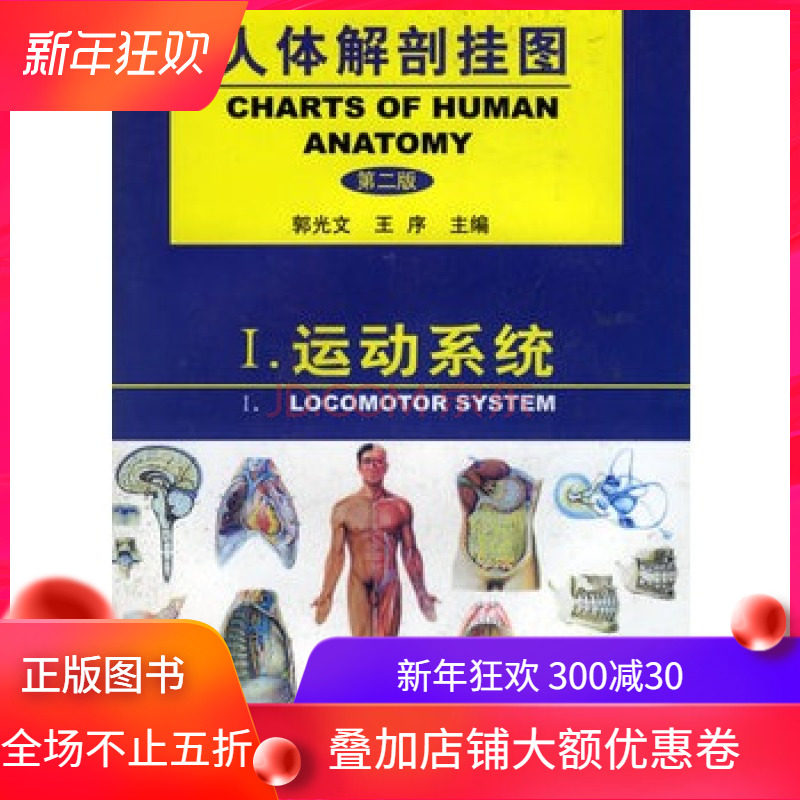人体解剖挂图——运动系统(51幅)