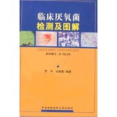 临床厌氧菌检测及图解 ３３７