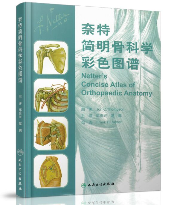 现货 奈特简明骨科学彩色图谱(翻译版) 邱贵兴,高鹏主译 人民卫生出版社