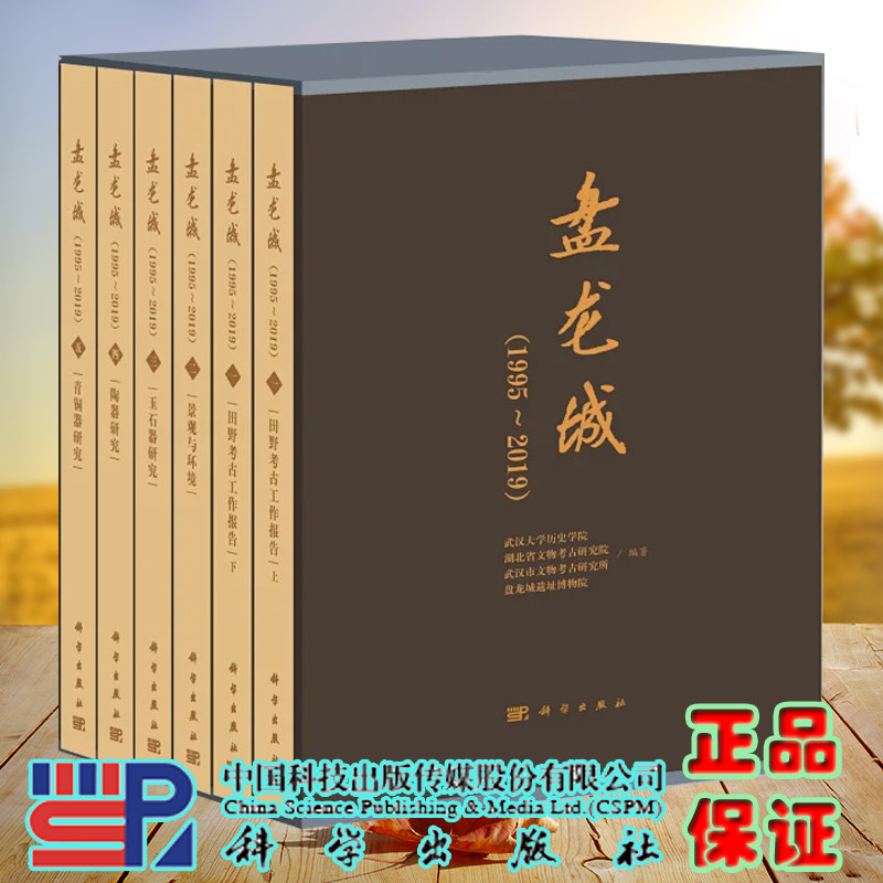 盒装 盘龙城1995~2019 5卷6册 田野考古发掘工作报告/玉石器研究陶青铜器景观与环境 武汉大学历史学院 科学出版社 9787030798145
