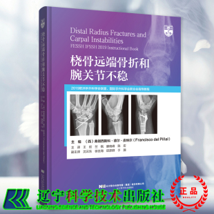 竺枫 现货 德尔 正版 滕晓峰 辽宁科学技术出版 西 主译 桡骨远端骨折和腕关节不稳 社9787559131140 弗朗西斯科 陈宏 皮纳尔王欣