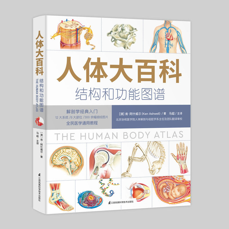人体大百科:结构与功能图谱 精 【澳】肯.阿什威尔 精装 江苏科学技术出版社9787571306441