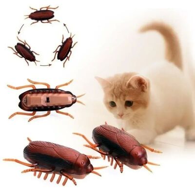Funny Simulation of Cockroaches Pet Cat Dog Kitten Interacti