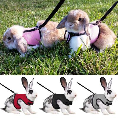 Solid Adjustable Pet Harness and Leash for Rabbit Bunny Cat