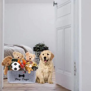 A Cat and Dog Toy Storage Box with Various Styles and Types,