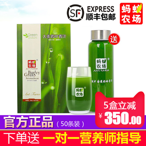 【官方正品蚂蚁农场大麦若叶青汁