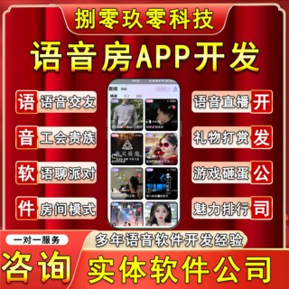 语音房APP开发语音交友app开发语聊房APP系统开发语音砸蛋APP开发