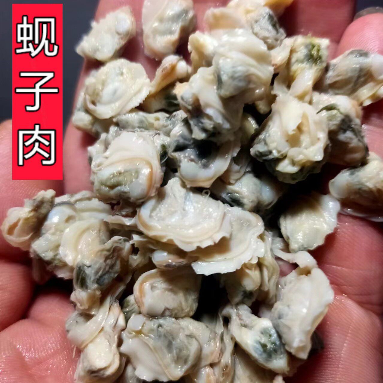 河南固始特产野生新鲜河蚌肉2斤装淡水蚬子肉去壳纯肉鲜活