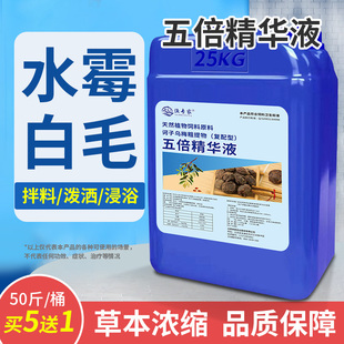 五倍精华液水产养殖五倍子末鱼塘硫醚沙星水霉病鳃霉止血鱼药