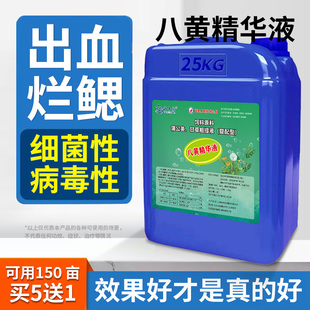 八黄精华液水产养殖利胆肝五黄清五黄粉诱食促长三黄散腐皮烂鳃灵