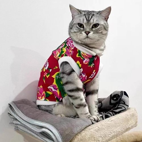 猫咪衣服冬季新年泰迪东北大花袄