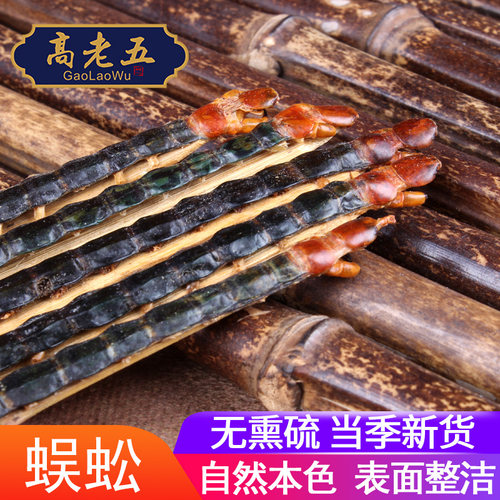 标准尺寸足干红头大蜈蚣