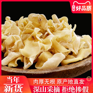 白玉木耳芽云耳特级长白山特产肉厚无根白色兔耳正宗干货正品无硫