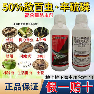 敌百辛硫磷槟榔椰叶心甲虫地蛆地老虎蛴螬地下害虫杀虫剂专用药
