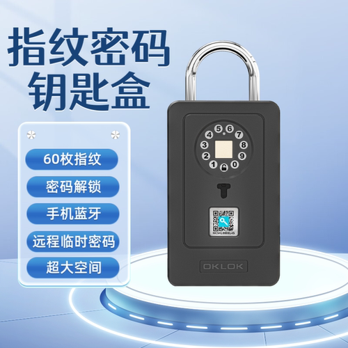 智能指纹密码钥匙盒仓库装修家用远程密码盒民宿店铺智能钥匙箱