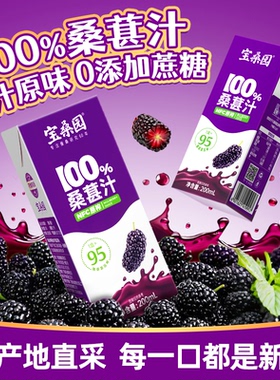 【U先】宝桑园100%NFC桑葚汁农科院联合研发桑果汁果蔬汁200ml*2