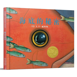 【官方直营】海底的秘密 疯狂星期二 华夫先生 艺术大魔法 我接到了 飓风凯迪克大奖精装硬壳绘本3-6-9岁亲子共读情商启蒙睡前故事