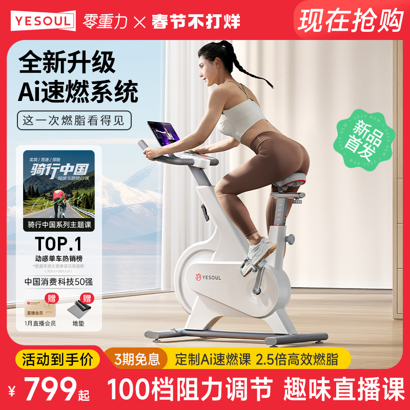YESOUL野小兽动感单车家用运动健身自行车室内减肥器材磁控静音M1