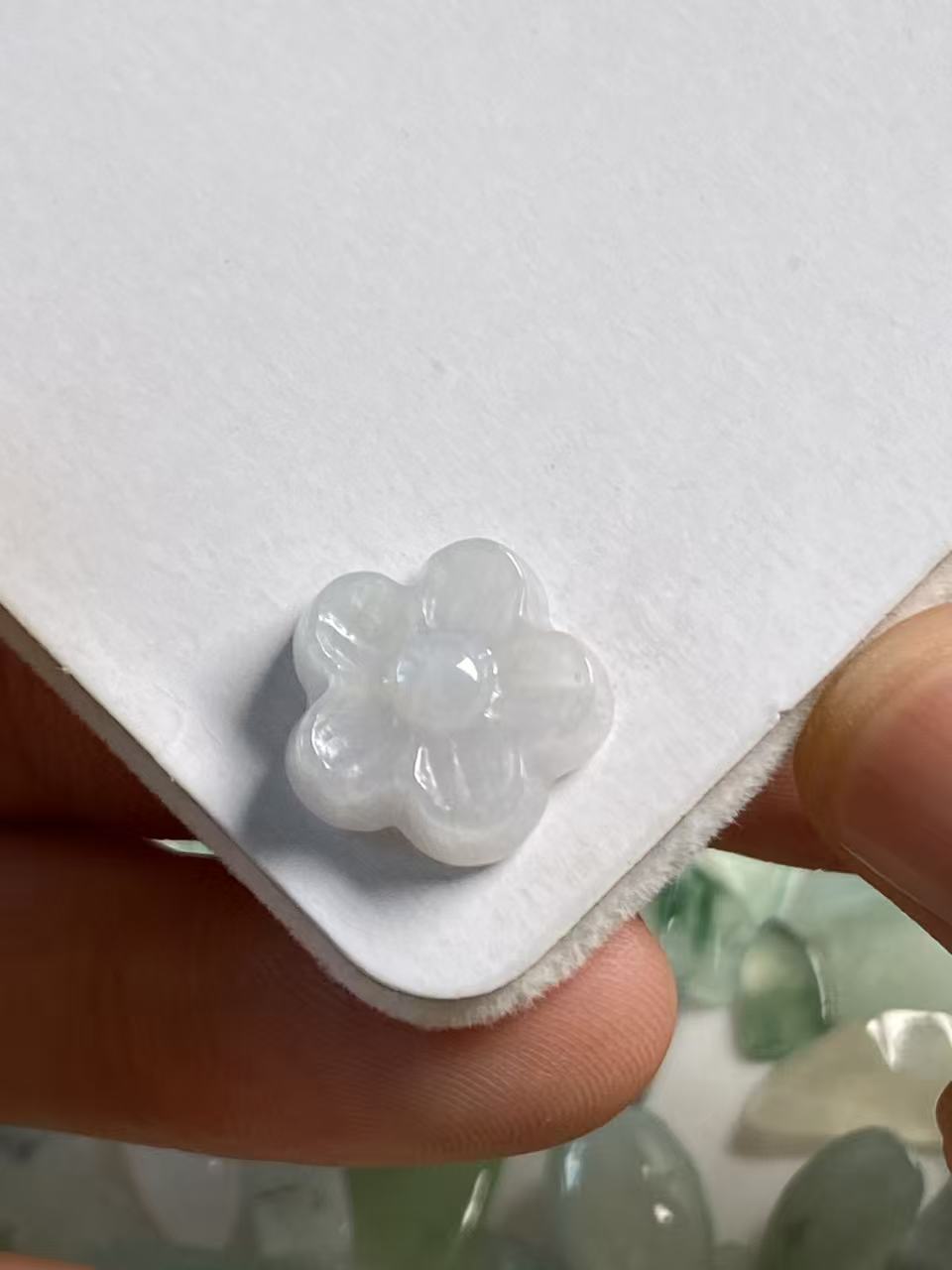 黄绿随行料子