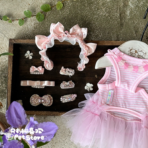 宠物立体满钻发夹蝴蝶结发夹碎发饰品猫咪头饰比熊马尔济斯