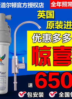 英国原装进口 道尔顿Ecofast高端家用净水器直饮厨房自来水净水机