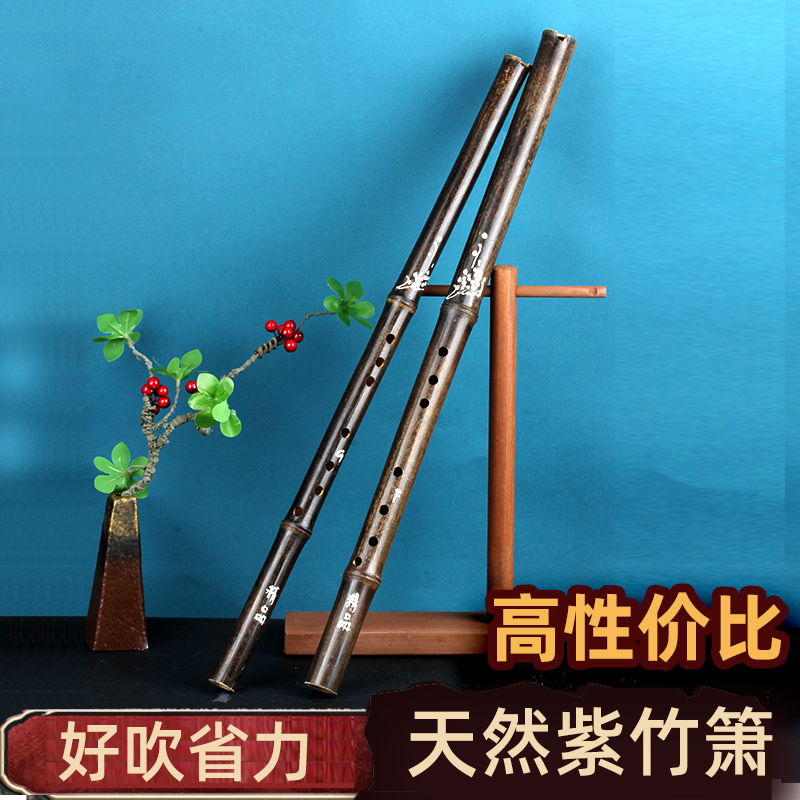 初学入门紫竹箫八孔g调f调