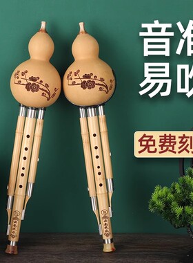 天然葫芦丝c调学生初学降b调成人专业演奏小D调g调F调7孔紫竹A调