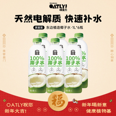 东边植造100%椰子水6L