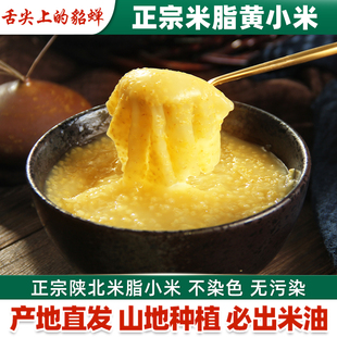 陕北米脂小米新黄小米小黄米小米粥农家新米糯小米五谷杂粮特产