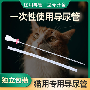 江扬一次性导尿管宠物导尿管导尿用带导丝结石排尿管通尿道