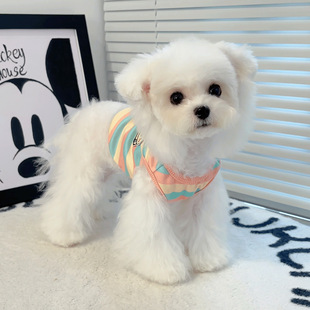 秋装新款德绒INS风宠物狗狗猫咪条纹衣服泰迪比熊博美可牵引背心