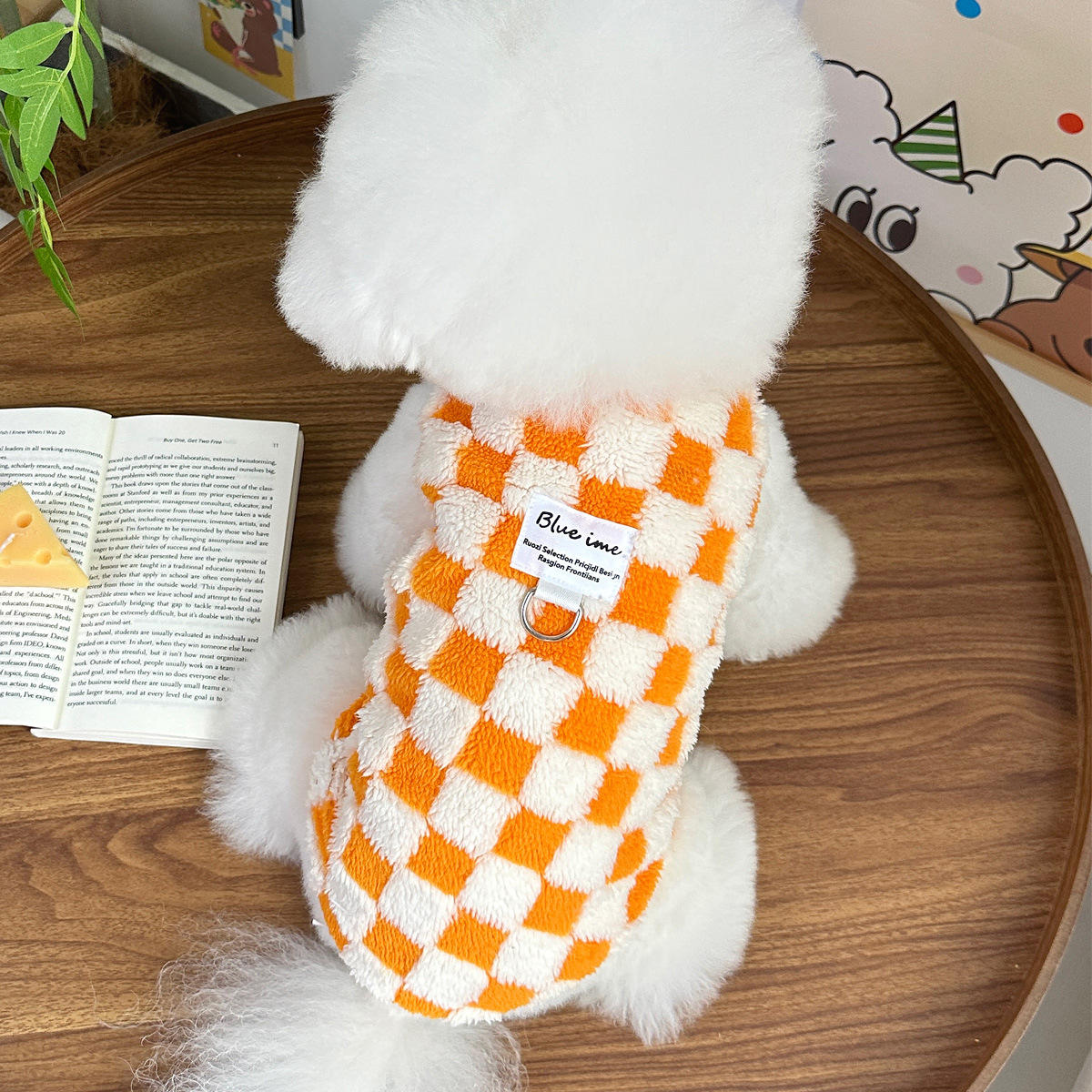 秋装新款ins风毛绒保暖宠物狗狗猫咪衣服泰迪比熊贵宾可牵引背心