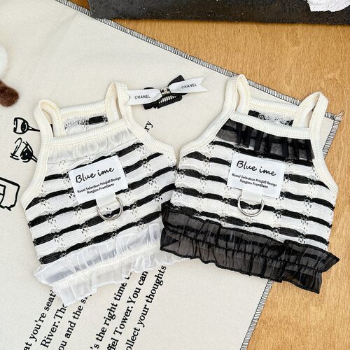 夏季泰迪比熊夏装背心短款