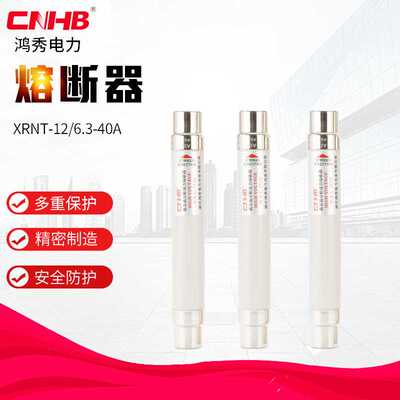 鸿秀10KV负荷开关用熔断器XRNT-12/6.3-40A高压高分段能力熔断器