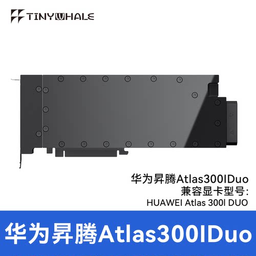 泰尼威尔Atlas300IDuo水冷头