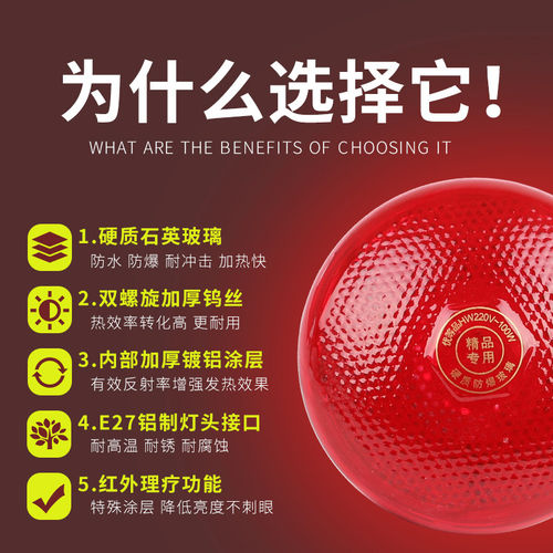 保温灯小鸡取暖灯育雏猪用取暖灯泡仔猪保暖灯兽用畜牧养殖场专用
