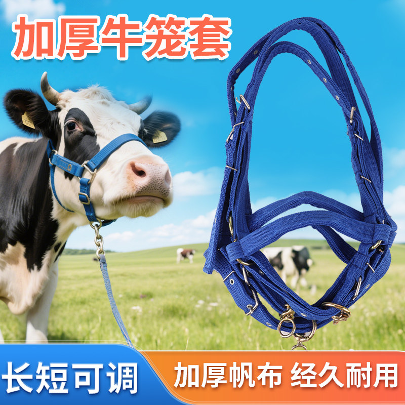 牛笼头套栓牛笼头牛头套栓牛绳子缰绳小牛大牛龙头牛笼嘴牛绳子